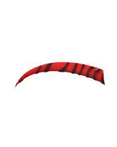 18100 5 Inches Shield Zebra red / black RW