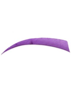 18100 4 inches shield purple RW
