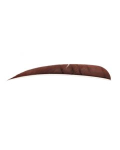 18100 4 inches parabolic brown RW