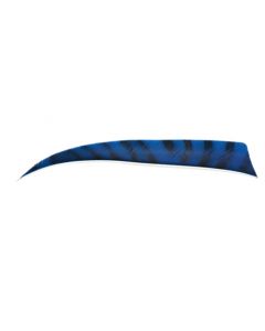 18100 5 Inches Shield Zebra blue / black RW